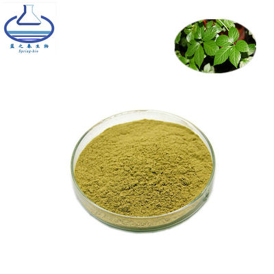 PE Gynostemma Pentaphyllum Leaf Extract 80% 98% CAS 80321-63-7
