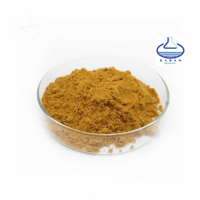 Cnidium Monnieri Extract Powder Osthol Herb Extract 10% Osthole Powder