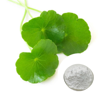 CAS 16830-15-2 Pure Plant Extracts Centella Asiatica Extract Asiaticoside Powder