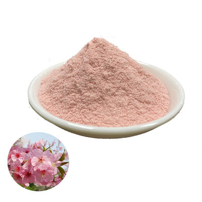Cosmetic Sakura Pure Plant Extracts Cherry Blossom Powder