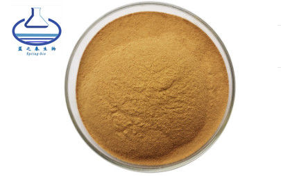 HPLC/UV Milk Thistle Extract 80% Silymarin Brown Yellow Powder