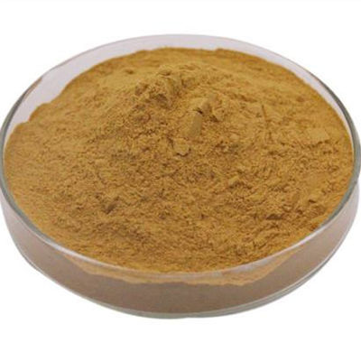 Cnidium Monnieri Extract Powder Osthol Herb Extract 10% Osthole Powder