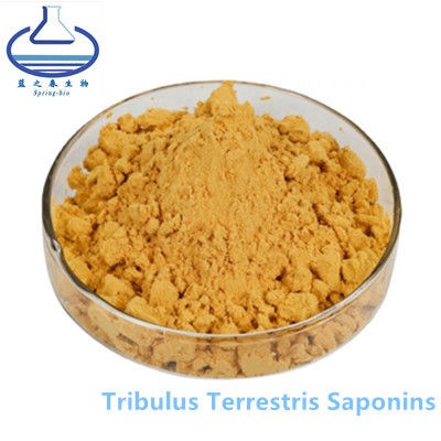 90% Powdered Herbal Extracts Tribulus Terrestris Saponins CAS 55056-80-9
