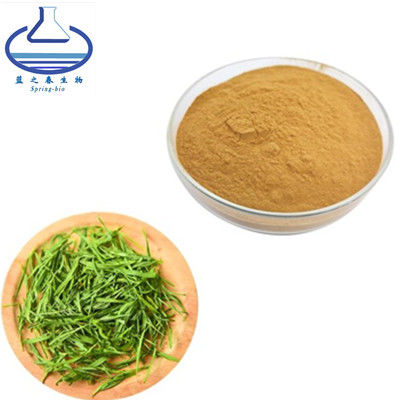 Flavonoids Bamboo Leaf Extract Powder Health Protect Raw Material